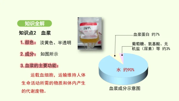 第四单元-第四章-第一节-流动的组织——血液课件-2024-2025学年七年级生物下学期人教版(20