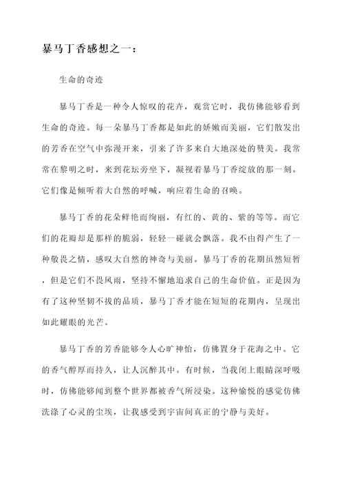 暴马丁香感想