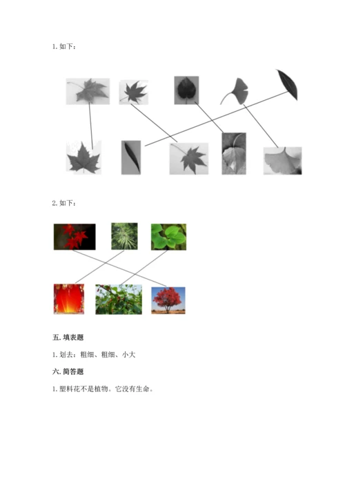 教科版科学一年级上册第一单元《植物》测试卷及参考答案【突破训练】.docx