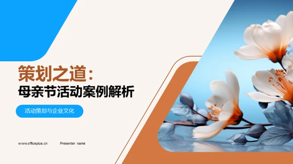 策划之道：母亲节活动案例解析