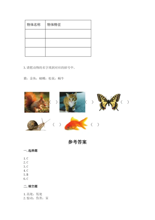 教科版一年级下册科学期末测试卷及参考答案（模拟题）.docx