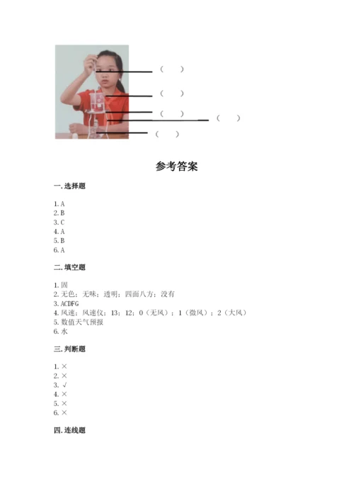 教科版三年级上册科学期末测试卷（轻巧夺冠）.docx