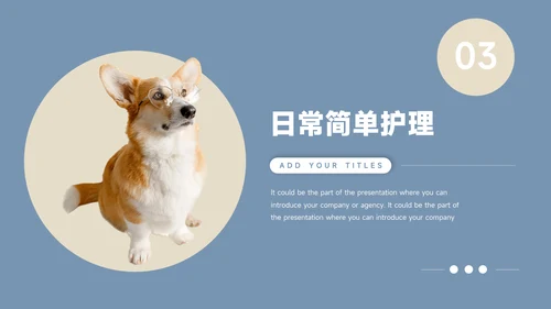 蓝金欧美风物健康护理培训模板PPT模板