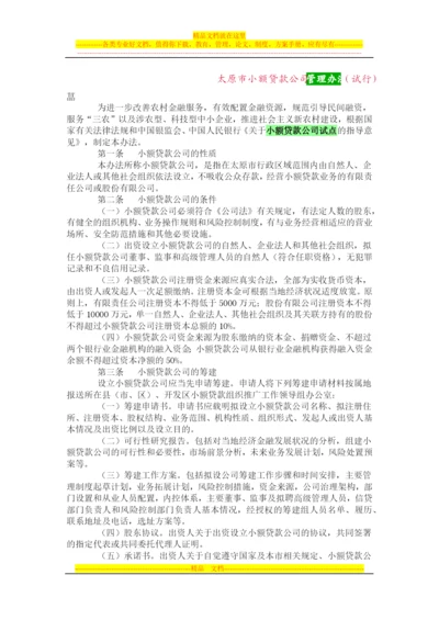 山西省小额贷款公司管理办法(暂行).docx