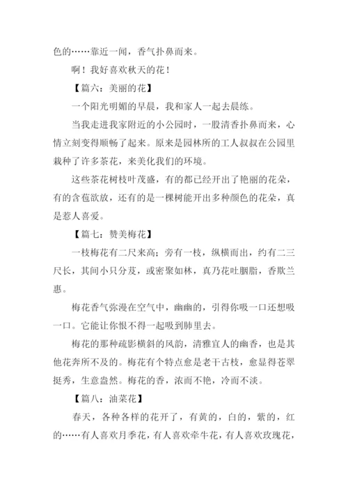 写花的作文100字.docx