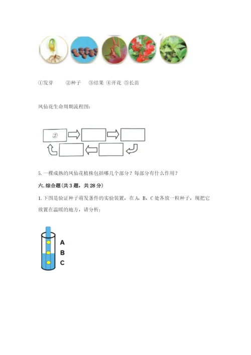 科学四年级下册第一单元《植物的生长变化》测试卷1套.docx