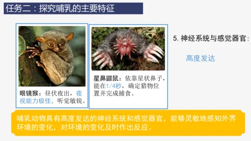 人教版生物七年级上册2.2.2《脊椎动物（三）鸟和哺乳动物》教学课件(共32张PPT)+视频素材