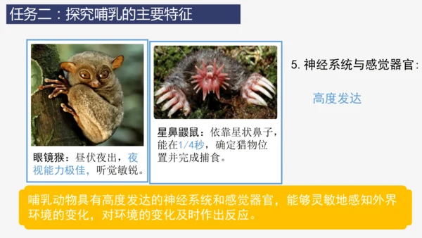 人教版生物七年级上册2.2.2《脊椎动物（三）鸟和哺乳动物》教学课件(共32张PPT)+视频素材