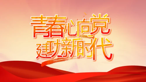 党支部党员大会工作总结汇报PPT