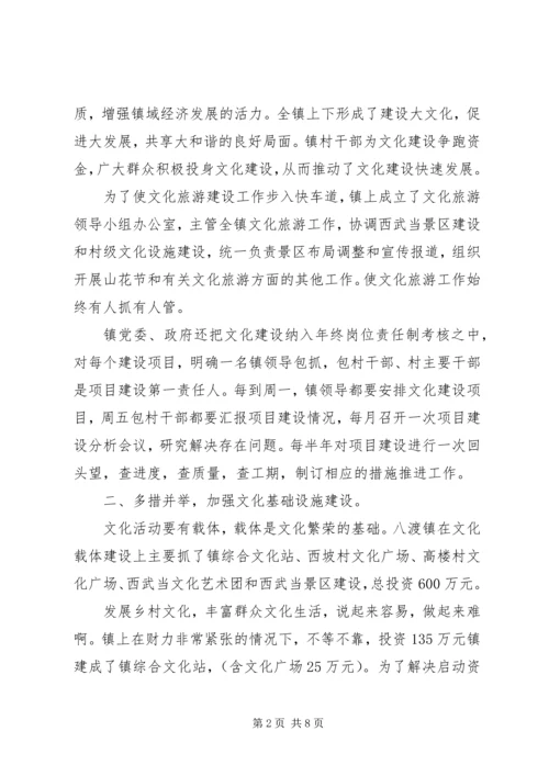 乡镇文化活动经验总结.docx