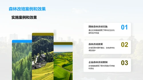 森林改培：挽救绿肺