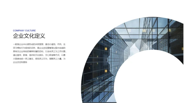 蓝色简约企业文化PPT案例