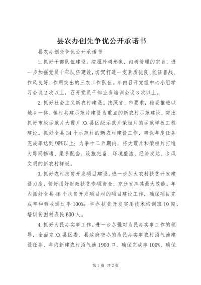 县农办创先争优公开承诺书_1.docx