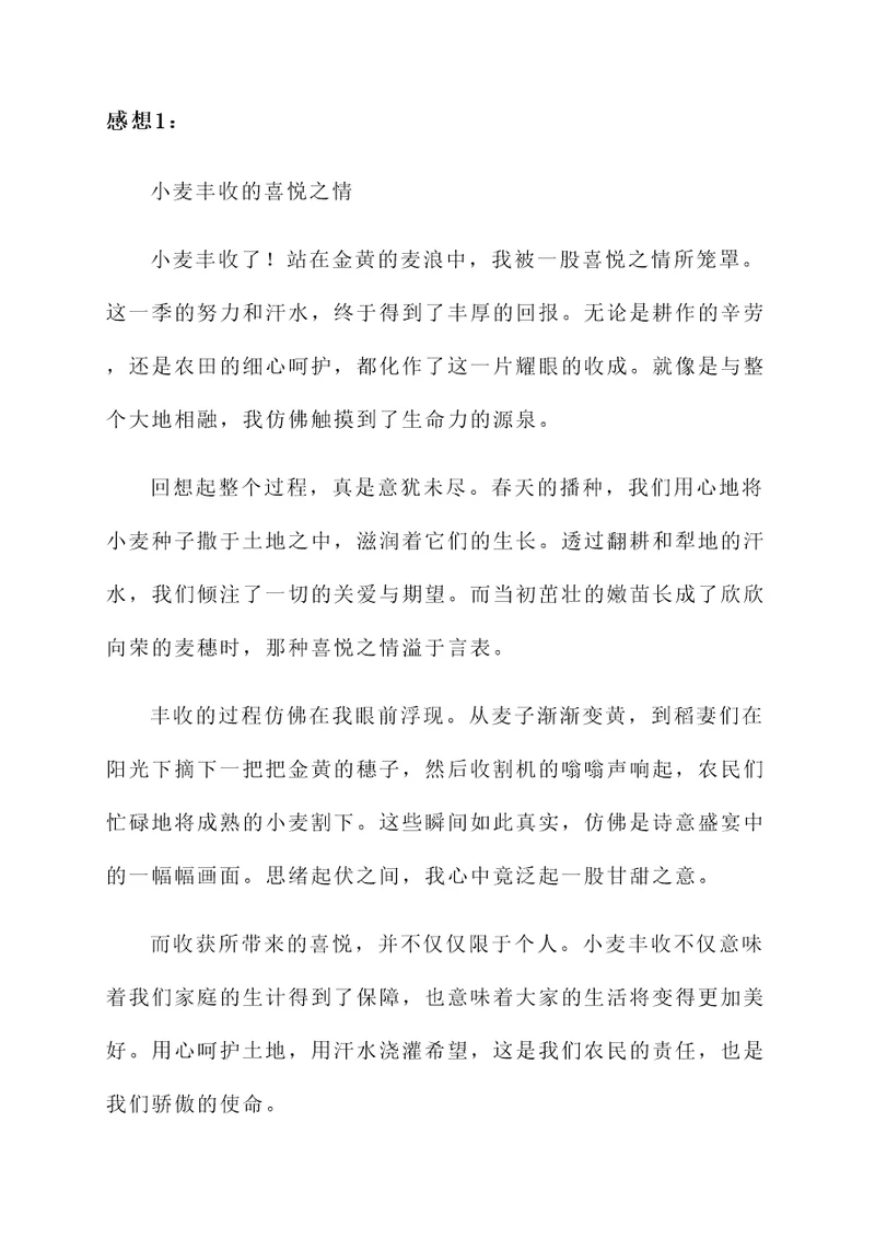 收小麦丰收的感想