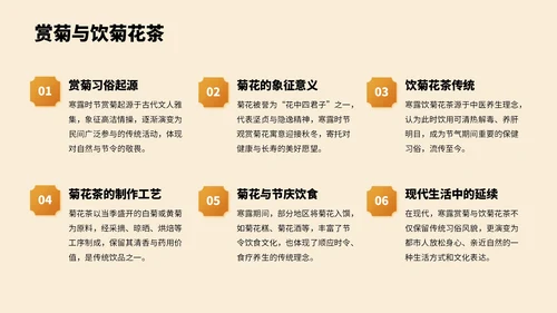 橙色中国风寒露节气PPT模板