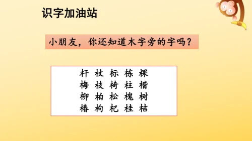 统编版语文三年级上册 第三单元 语文园地三   课件