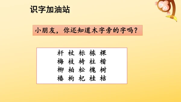 统编版语文三年级上册 第三单元 语文园地三   课件