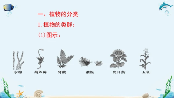 人教版八年级生物上册6.1《根据生物的特征进行分类》复习课件（含19张ppt）