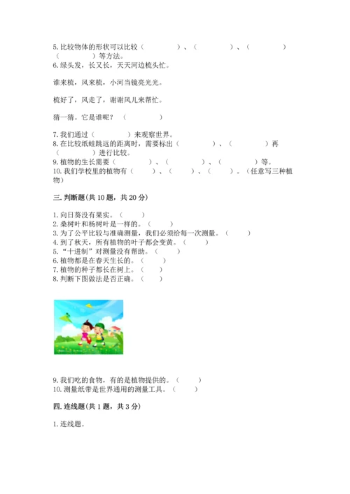教科版一年级上册科学期末测试卷含答案解析.docx