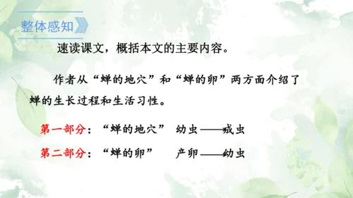 第21课《蝉》课件