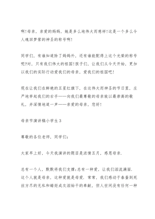 母亲节演讲稿小学生5篇.docx