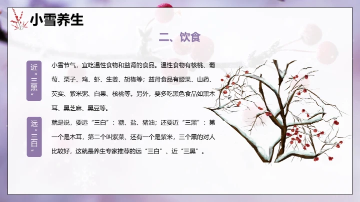 唯美简约小雪节气雪景二十四节气介绍PPT模板