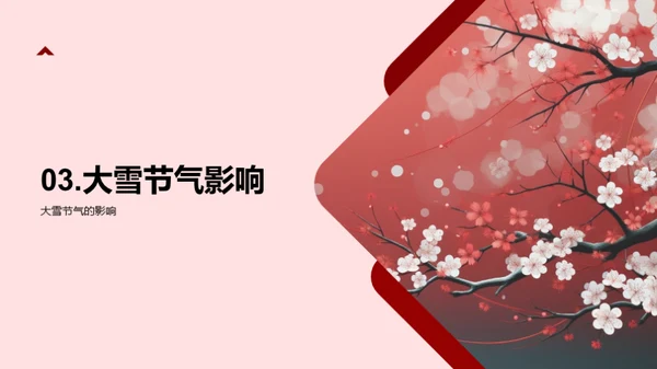 大雪节气的传承与实践