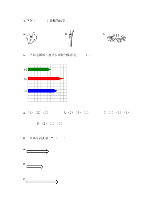 教科版一年级上册科学期末测试卷【培优b卷】.docx