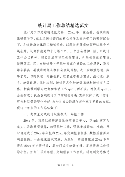 统计局工作总结精选范文.docx