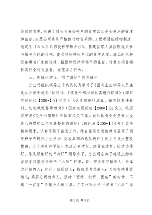 电力公司党风廉政建设自查报告 (2).docx