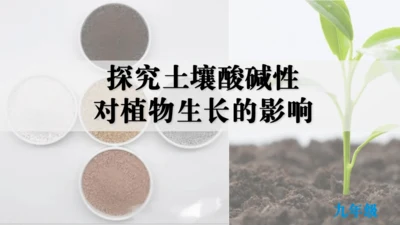 跨学科实践活动9  探究土壤酸碱性对植物生长的影响课件(共33张PPT)