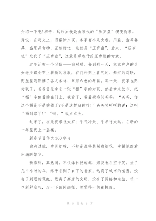新春节目优秀作文300字5篇.docx