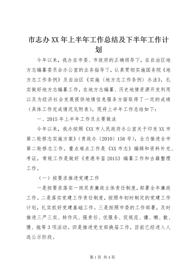 市志办XX年上半年工作总结及下半年工作计划.docx