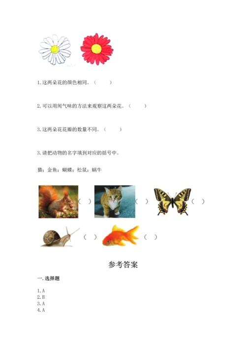 教科版一年级下册科学期末测试卷加下载答案.docx