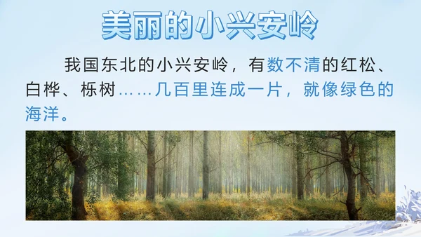部编版三年级上册第二十课美丽的小兴安岭PPT模板