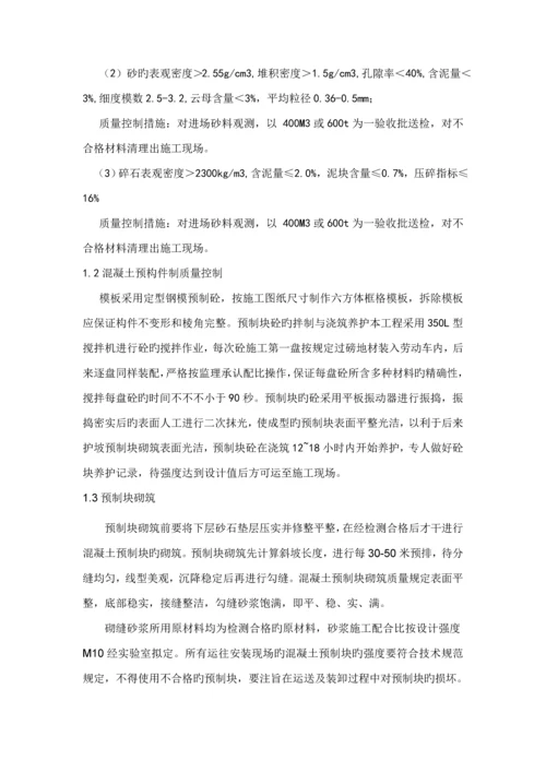 堤身防护综合施工专题方案.docx