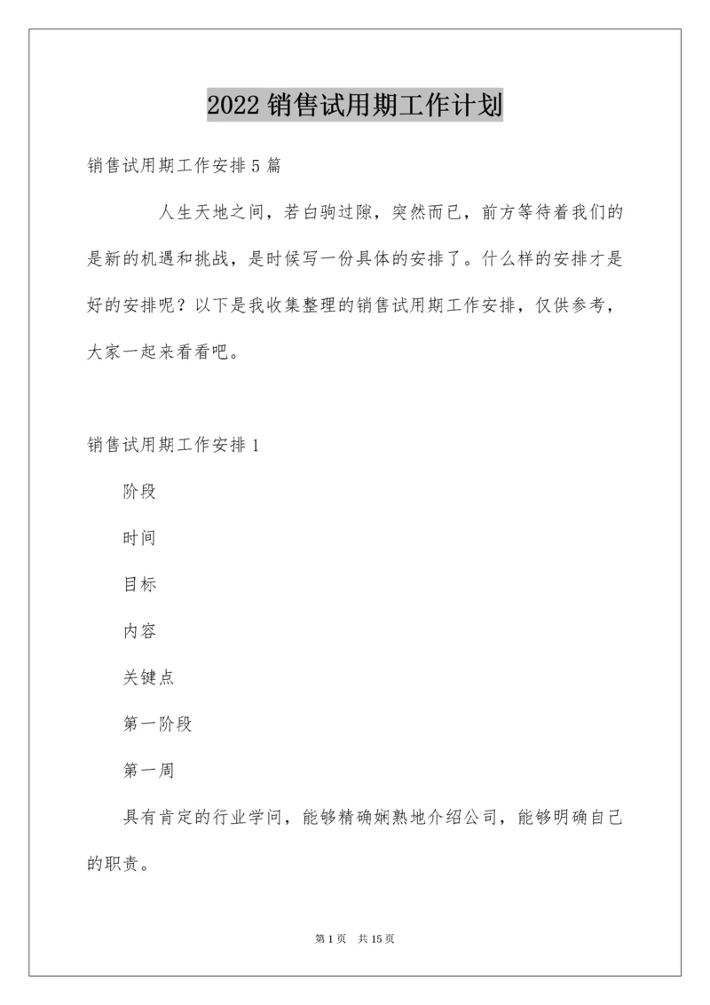 销售试用期工作计划.docx