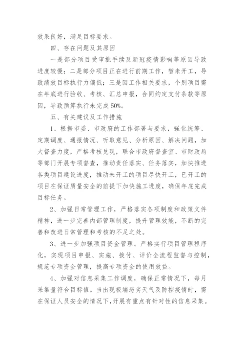 项目支出绩效目标执行监控报告.docx