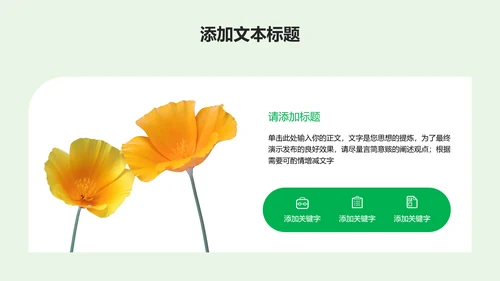 绿色清新风总结汇报通用PPT演示模板