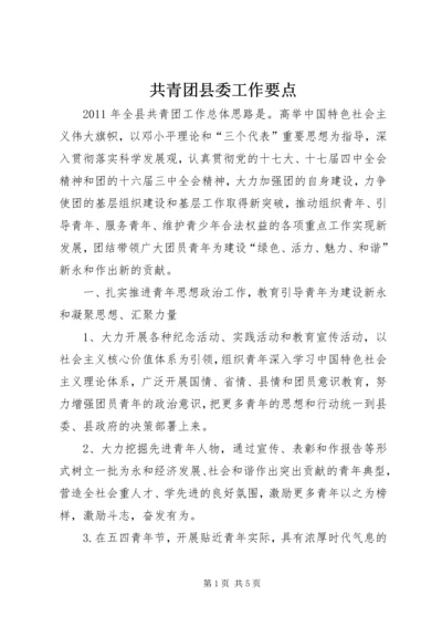 共青团县委工作要点 (5).docx