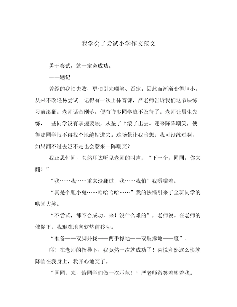 我学会了尝试小学作文范文