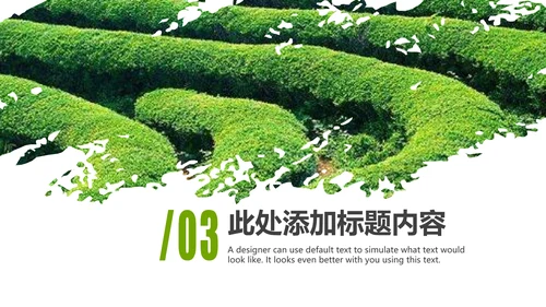 清新绿茶茶文化采茶茶道茶艺茶文化PPT模板