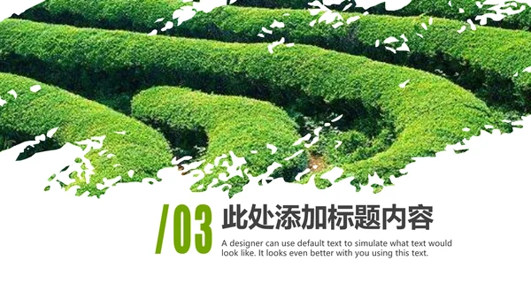 清新绿茶茶文化采茶茶道茶艺茶文化PPT模板