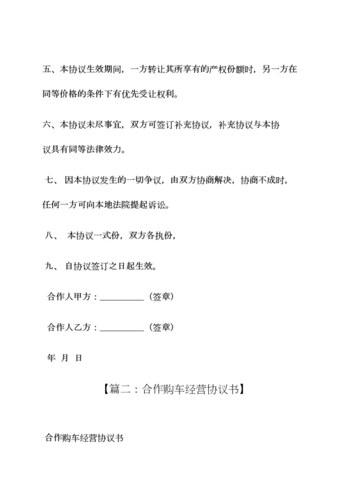 两人合伙买车协议书.docx