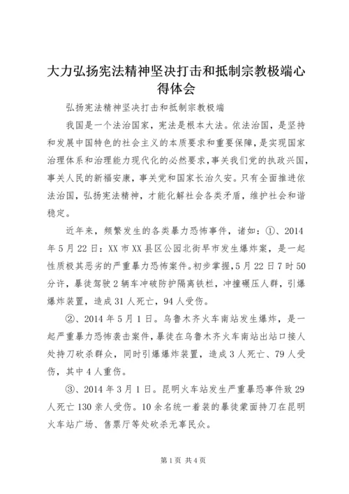 大力弘扬宪法精神坚决打击和抵制宗教极端心得体会 (3).docx