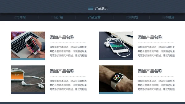 稳重详细内容商业计划书PPT模板