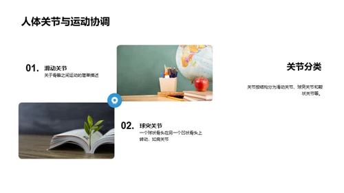 解剖学探索之旅