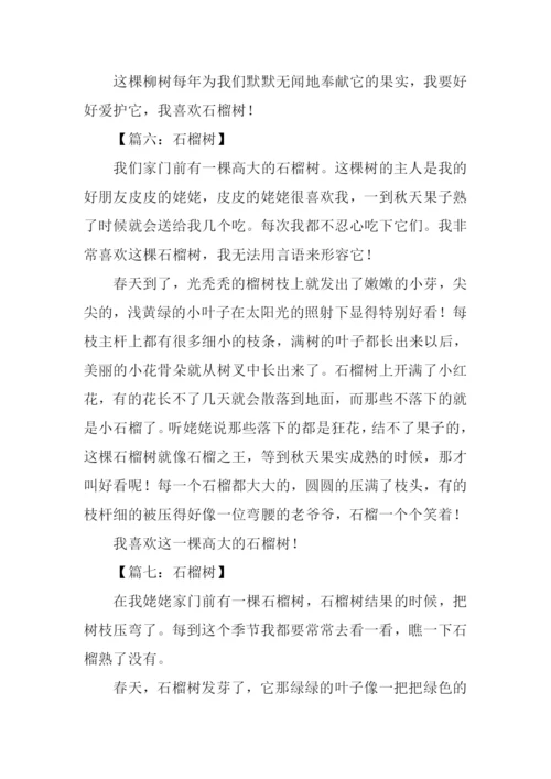 石榴树作文350字.docx