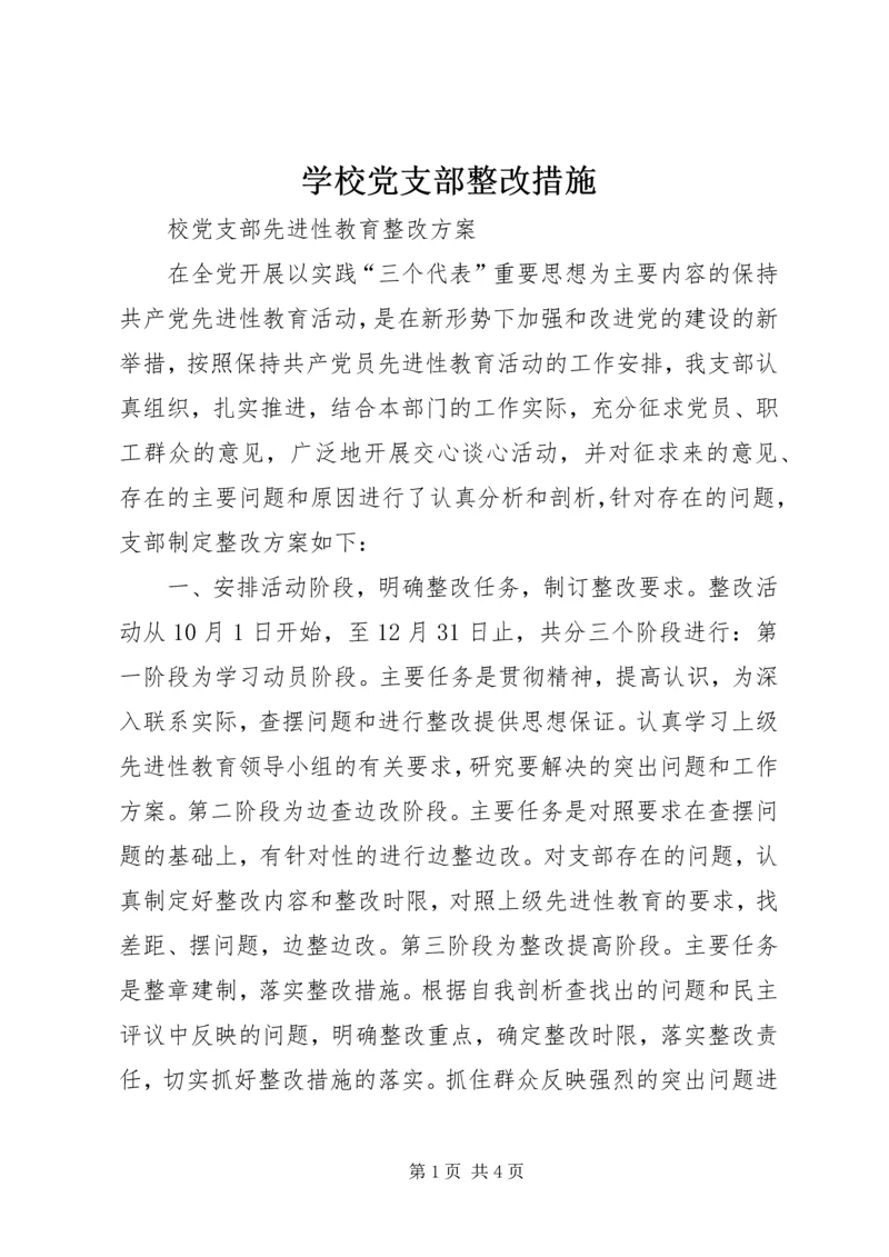 学校党支部整改措施 (7).docx