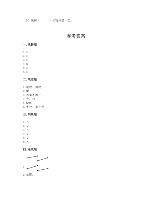 教科版二年级上册科学期末测试卷附答案（实用）.docx